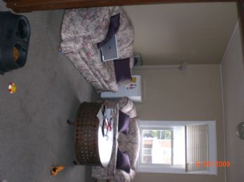 angelgaldb profile photo