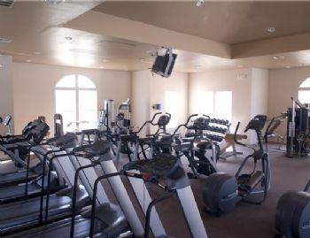 cmholliday profile photo