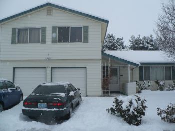 puppyloveadv profile photo