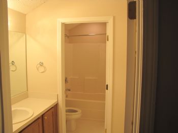 David61 profile photo