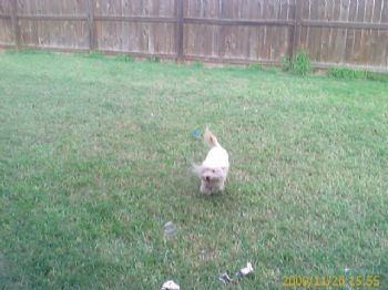 Nereida profile photo