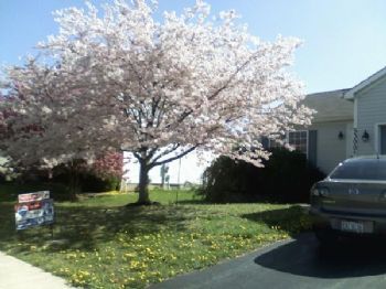 JJM2181 profile photo