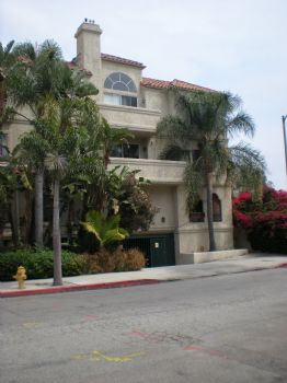 yteofan profile photo