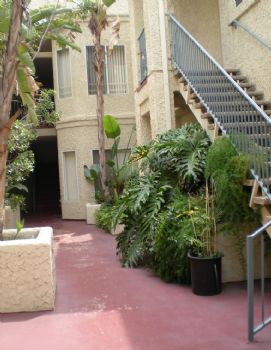 yteofan profile photo