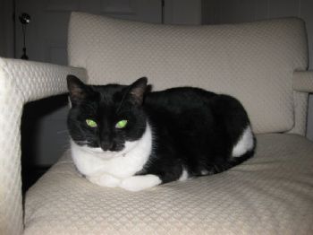 sjeluitjens profile photo