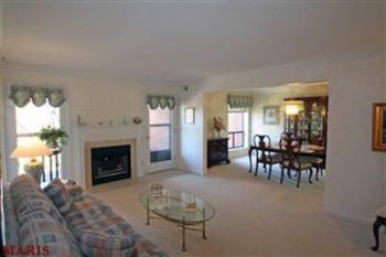 Cirocco profile photo