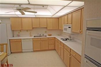 Cirocco profile photo