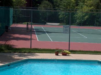 Cirocco profile photo