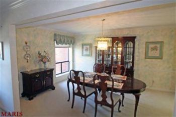 Cirocco profile photo