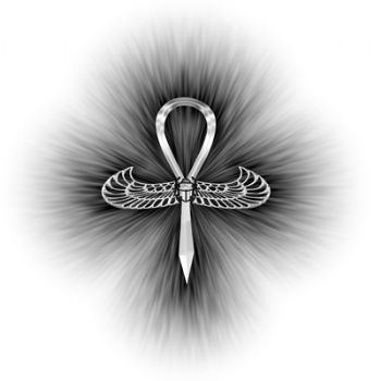 ELOOPI profile photo