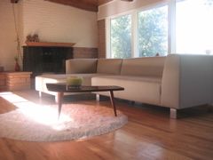 goolia profile photo