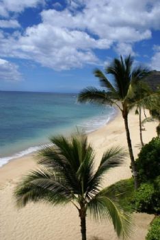 Dizzyre1 profile photo