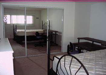 marciey profile photo