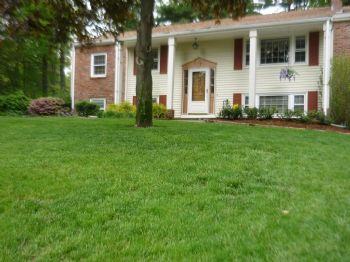 Cadeleo profile photo