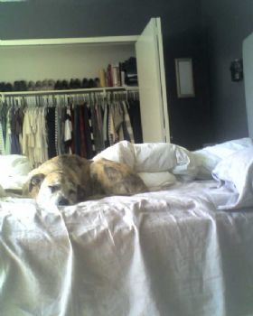 rebecca1109 profile photo