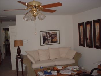 Amina Alami profile photo