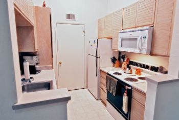 nomadluke profile photo