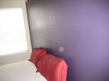 jnelly profile photo