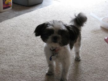 jnelly profile photo