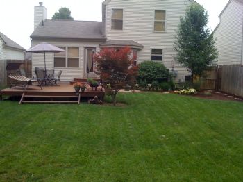 rumbledoo profile photo