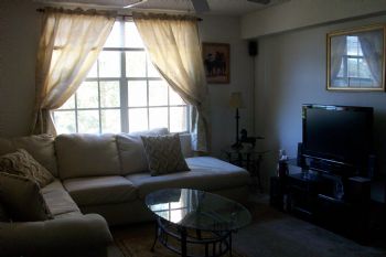 vavila profile photo