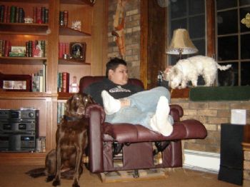 AraLogaan profile photo