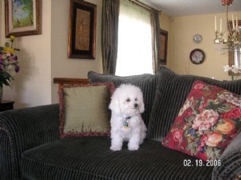 TD 80122 profile photo