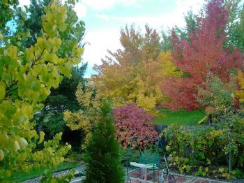 TD 80122 profile photo