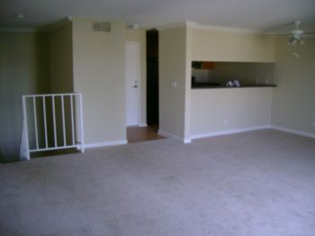 thepwnstarxx profile photo