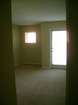 thepwnstarxx profile photo