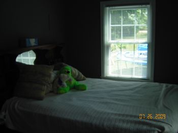 frenaldi profile photo