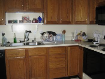 reagan1978 profile photo