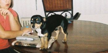 ndarme69 profile photo