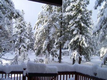 shawnana profile photo