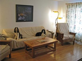 zaragon profile photo