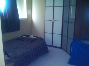 MrInfoSys profile photo