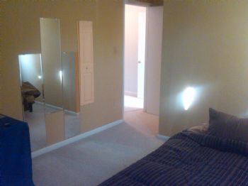 MrInfoSys profile photo