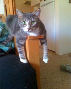 blynk4vr316 profile photo