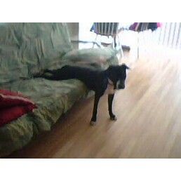 gekapat profile photo