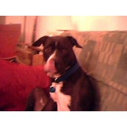 gekapat profile photo