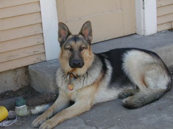 graham_c_m profile photo