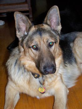 graham_c_m profile photo