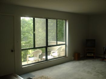 neverthere profile photo