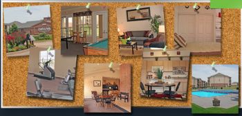 Murphee profile photo