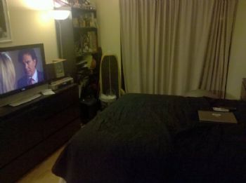 dperry8 profile photo