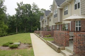 megancoley profile photo