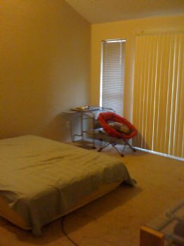 cristelize profile photo