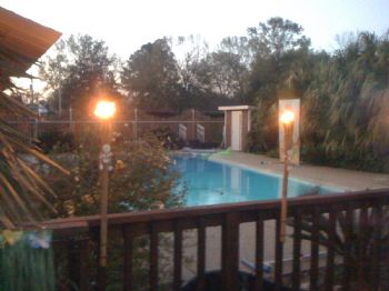 sundaisy10 profile photo