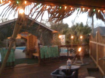 sundaisy10 profile photo