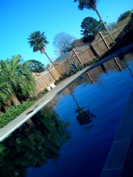 sundaisy10 profile photo